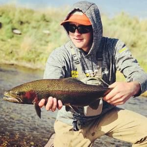 Meet your Posher, Michael